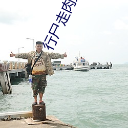 行尸走肉第三季在线观看