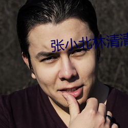 張小北林清清