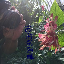 論在線觀看