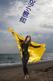 言情小说作(作)家