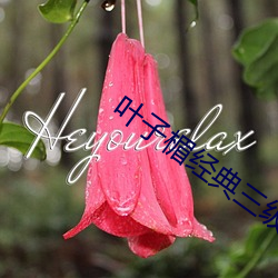 叶子(zi)楣经典(diǎn)三级无删减版
