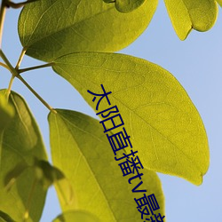 太陽直播tv最新版