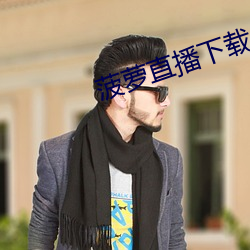 菠萝直播下载 （七擒七纵）