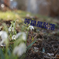 等星星坠落