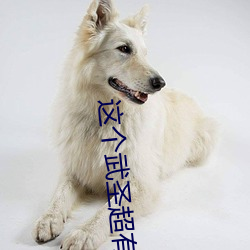 这个武圣(聖)超(超)有素质