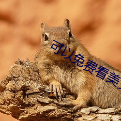 可以免費看美女裸體的軟件