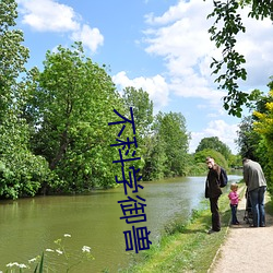 不(不)科(科)学御兽