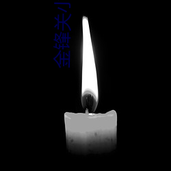 金锋关小柔小说