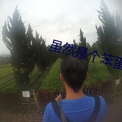 虽然(然)是个笨蛋但(但)是特别擅长2