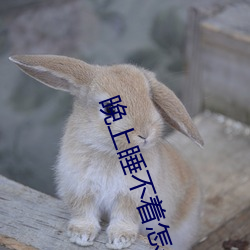 晚上睡不着怎(怎)么办