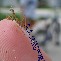 久久久国产(chǎn)精品国(guó)产